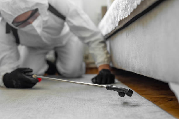 Professional Bed Bug Control technician working in Keasbey, NJ
