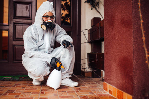 Reliable Bed Bug Control contractor in Keasbey, NJ by Nex Pest Control