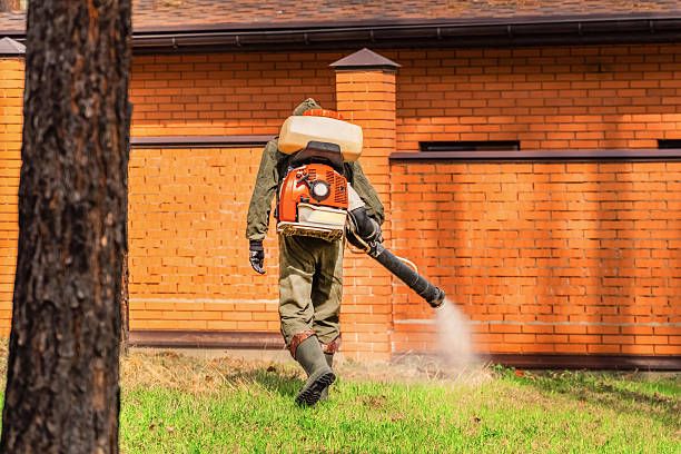 Trusted Cockroach Control service in Keasbey, NJ - Nex Pest Control